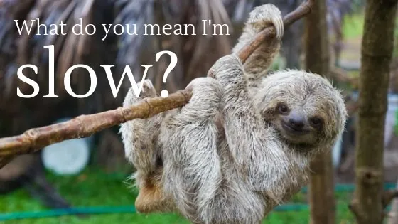 Speeding Up Your Website by Optimizing Your Images - Don